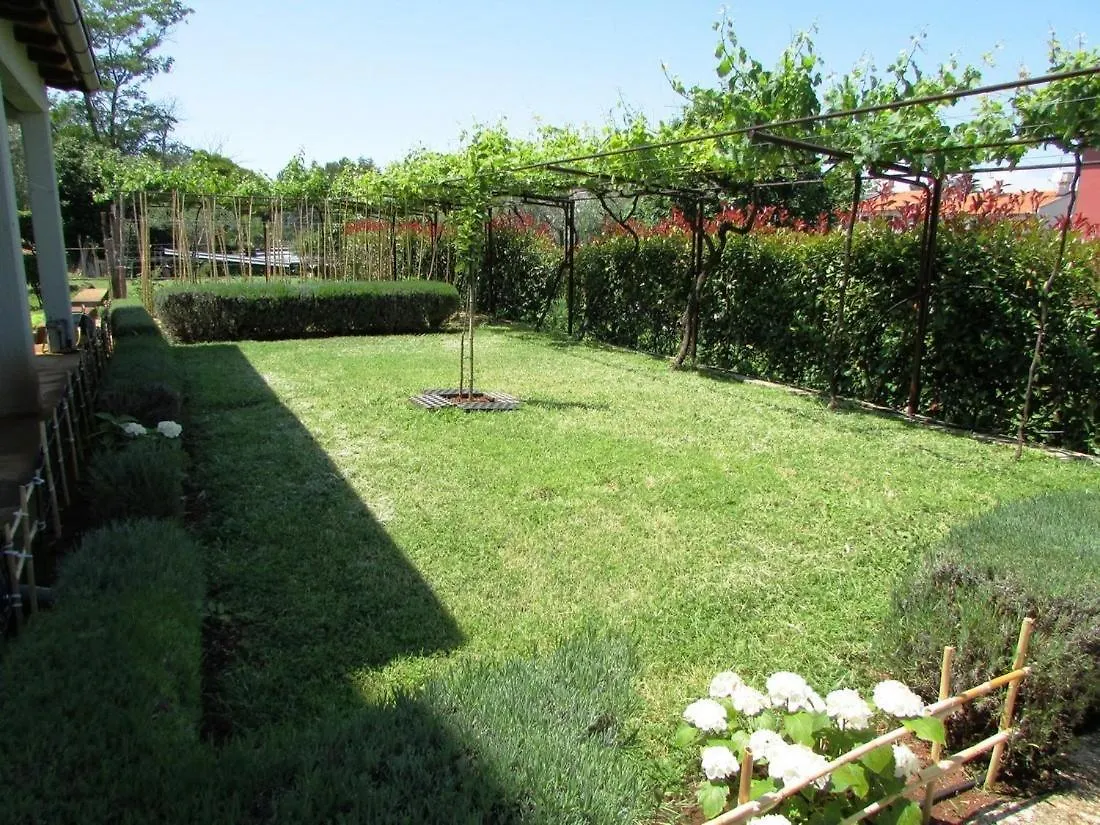 Apartments Paliska Umag