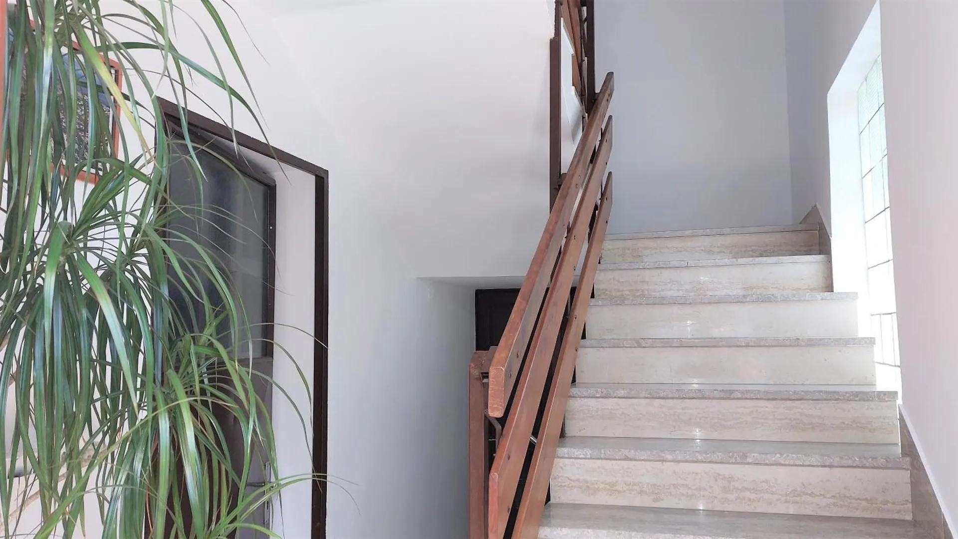Apartments Paliska Umag Croatia