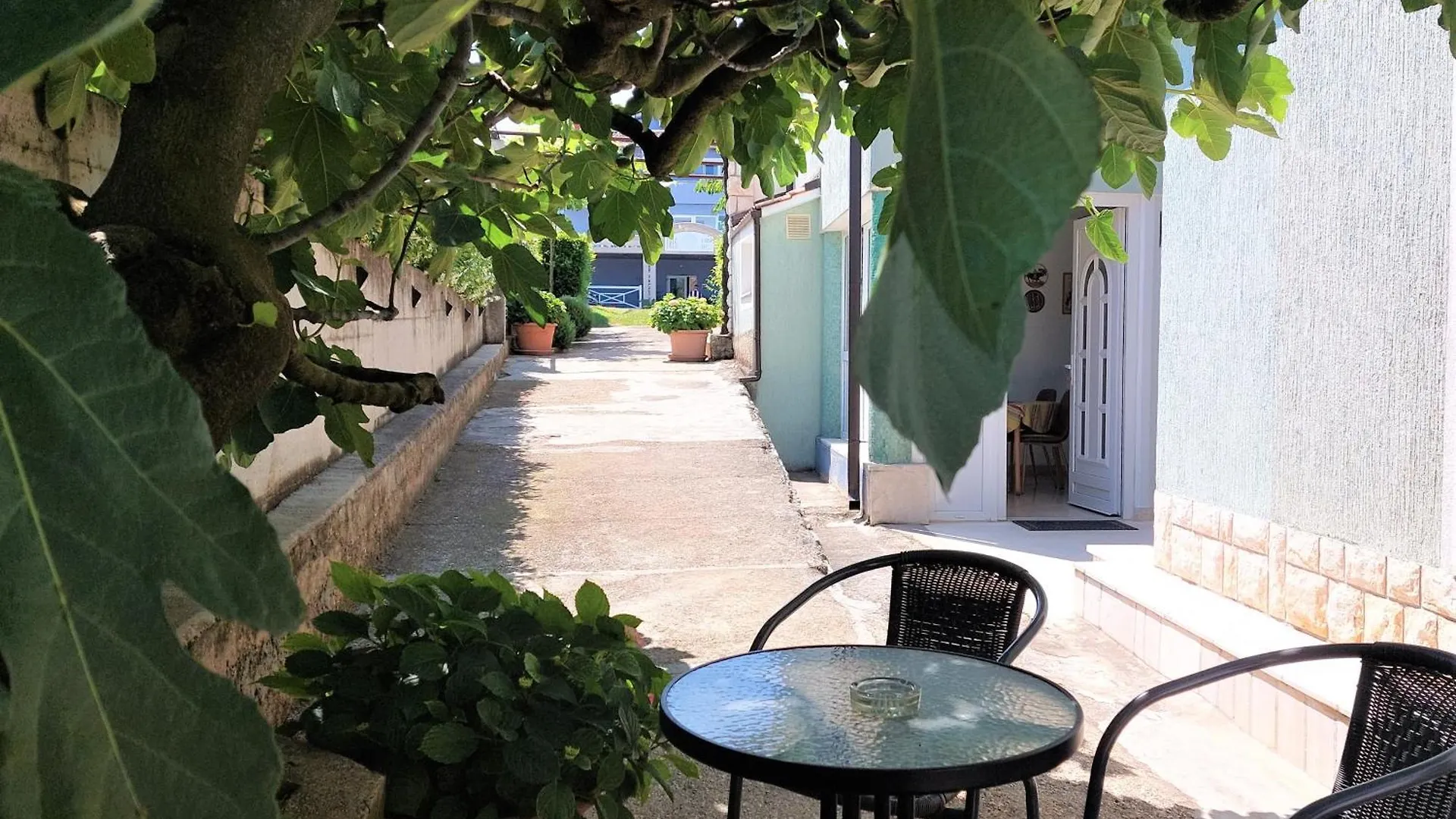 Apartments Paliska Umag Croatia